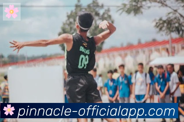 平博pinnacle体育荣誉